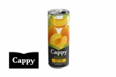  Cappy Kayısı 